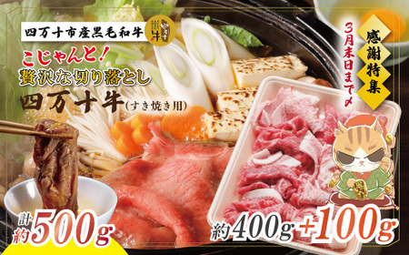 【感謝・期間限定100g付き】＜100個限定＞ 牧場直送 四万十牛（メス牛）こじゃんと 贅沢 な 切り落とし（すき焼用）約500g（400g＋100g） しまんと 四万十 牛 肉 牛肉 和牛 ロース 【2026年3月31日まで受付】 26-529Z