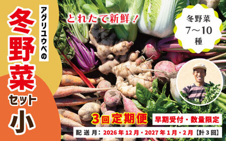 [ 3回定期便 早期受付 数量限定 ]アグリユウベの冬野菜セット (小) とれたて 新鮮 農家直送 国産 野菜 便 やさい 冬 国産 旬 高知県 四万十市 四万十 しまんと[配送月:2026年12月・2027年1月・2月