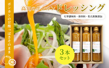 高知 の ポンカン ドレッシング 3本 セット 甘み 酸味 甘酸っぱい ぽんかん サラダ 調味料 フルーツ 果物 柑橘 ベジタブル 野菜 ギフト お中元 お歳暮 贈答 高知 四万十 しまんと [ 化学調味料 保存料 乳化剤 無添加