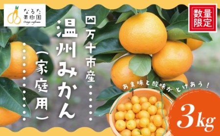 [ 早期受付 期間限定 数量限定 ] 温州みかん 3kg 家庭用 人気 フルーツ 果物 みかん ミカン 蜜柑 ジューシー 果汁 甘い 酸味 限定品 高知県 高知 四万十市 四万十 しまんと お取り寄せ [配送時期:2025年10月〜11月末]25-966