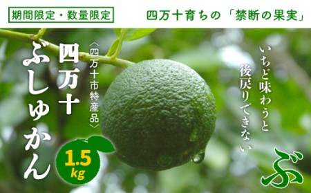 [早期受付 期間限定 数量限定] 四万十市特産品 すっきりとした酸味と上品な香り 四万十ぶしゅかん 青玉 1.5kg 国産 フルーツ 果物 旬 ぶしゅかん ブシュカン 柑橘 高知 四万十 しまんと[発送時期:2025年8月下旬〜9月末]25-527