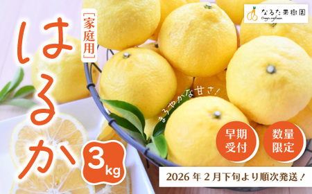 [ 早期受付 期間限定 数量限定 ] はるか 3kg 家庭用 甘い 甘酸っぱい 人気 フルーツ 果物 くだもの 柑橘 みかん ミカン 高知県 高知 四万十市 四万十 しまんと 高知県産 お取り寄せ [配送時期:2026年2月下旬〜3月下旬]25-348