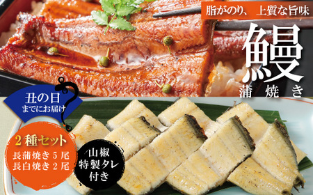 [土用の丑の日までにお届け][四万十食品]うなぎ蒲焼 長焼5尾+白焼2尾/F 鰻 ウナギ うなぎ お取り寄せ グルメ きざみ ギフト 食べ物 食品 おかず 国産鰻 蒲焼 ウナギ 冷凍 送料無料 国産 高知 高知県