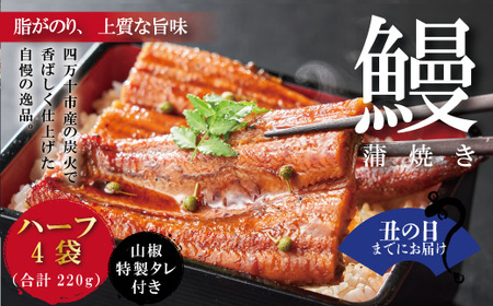 [土用の丑の日までにお届け][四万十食品]うなぎ蒲焼 ハーフ4袋/BC 鰻 ウナギ うなぎ お取り寄せ グルメ お楽しみ おいしい ギフト 食品 おかず ひつまぶし 国産鰻 蒲焼 冷凍 送料無料 国産 高知 四万十