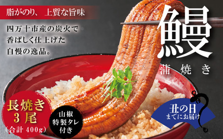 [土用の丑の日までにお届け][四万十食品]うなぎ蒲焼 長焼3尾/CD 鰻 ウナギ うなぎ お取り寄せ グルメ きざみ ギフト 食べ物 食品 おかず 国産鰻 蒲焼 ウナギ 冷凍 送料無料 国産 高知 高知県 四万十