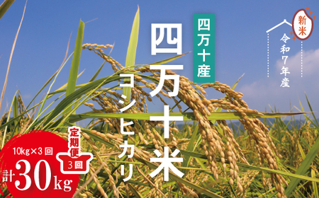 [令和5年産・3回定期便]四万十産 四万十米(コシヒカリ)10kg(5kg×2袋)×3回(計30kg)