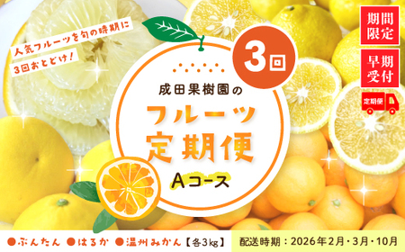 [ 3回 定期便 早期受付 ]成田果樹園のフルーツ定期便Aコース 人気 フルーツ 予約 先行 数量限定 果物 甘い 柑橘 文旦 ぶんたん はるか みかん ミカン 高知県産 高知 四万十 しまんと[配送時期:2026年2月・3月・10月]25-709