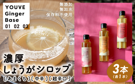 生姜好きさんにオススメ! 濃厚 しょうがシロップ 3種セット[あまくち・中辛・超辛口]国産 生姜シロップ 自家製 生姜 しょうが ショウガ ジンジャー シロップ ドリンク 調味料 高知 四万十 四万十市 しまんと 産地直送 25-759
