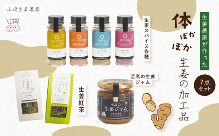 【 山﨑生姜農園 】 山崎生姜農園 生姜農家 が作った 体ぽかぽか 生姜の加工品 7点 セット ジャム 調味料 スパイス ティーパック 茶葉 お茶 紅茶 生姜 しょうが ショウガ ジンジャー おいしい ドリンク 飲料 加工品 高知県 高知 四万十市 四万十 しまんと 送料無料 25-327
