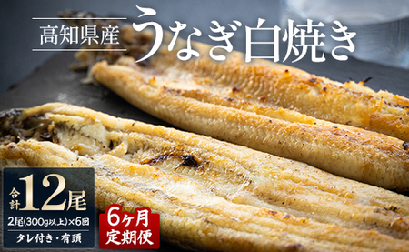 うなぎ 白焼き [6カ月定期便]高知県産鰻の白焼き150〜180g×2尾 合計12尾 エコ包装 - 鰻 ウナギ 有頭 つまみ ご飯のお供 たれ 簡易包装 Wyw-0075