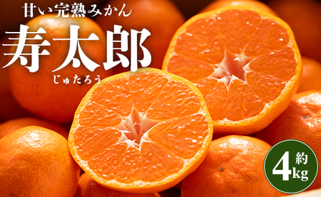 間城農園 甘い完熟みかん 寿太郎 4kg[フルーツ 柑橘 ミカン 寿太郎みかん 寿太郎] ms-0068