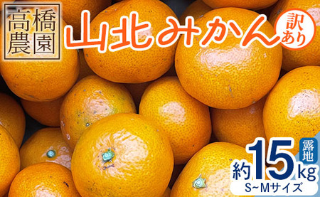 家庭用 山北みかん 露地(S〜M)B品 15kg 高橋農園 - 小傷あり 新鮮 農家直送 露地 みかん th-0016