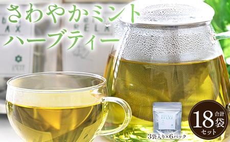 さわやかミントハーブティー 6パックセット - お茶 飲み物 ティーバッグ 茶葉 リラックス のし ギフト 贈り物 GreenBase 高知県 香南市 gr-0159