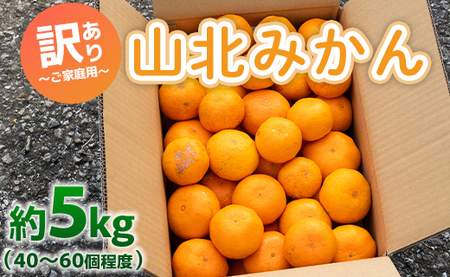 訳あり 山北みかん ご家庭用 約5kg(約40〜60個) 山北みらい - 果物 フルーツ 柑橘類 温州みかん ミカン 蜜柑 訳アリ わけあり 生産者応援 甘い おいしい 高知県 香南市 みかん yk-0022