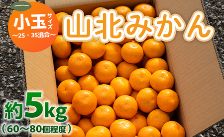 みかん 5kg ss 混合 山北みかん 小玉サイズ 2S・3S混合 約5kg(60〜80個程度) 山北みらい - 果物 フルーツ 柑橘類 温州みかん ミカン 蜜柑 甘い おいしい 美味しい 高知県 香南市 yk-0024