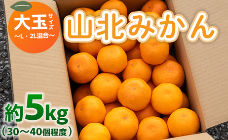 山北みかん 大玉サイズ L・2L混合 約5kg(30〜40個程度) 山北みらい - 果物 フルーツ 柑橘類 温州みかん ミカン 蜜柑 甘い おいしい 美味しい 高知県 香南市 yk-0025