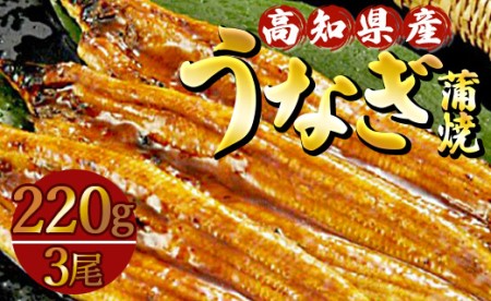 高知県産養殖うなぎ蒲焼き 3尾(合計約660g) 鰻鰻 ss-0035