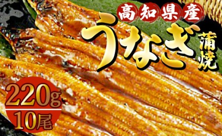 高知県産養殖うなぎ蒲焼 10尾(合計約2200g) ss-0037