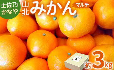 土佐乃かなや マルチ 山北みかん3kg - 柑橘 ミカン 果物 フルーツ のし かなや農園 合同会社Benifare みかん be-0016