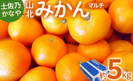 土佐乃かなや マルチ 山北みかん5kg - 柑橘 ミカン 果物 フルーツ みかん be-0017