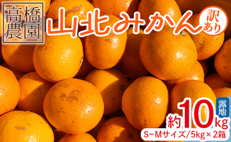 家庭用 山北みかん5kg露地(S〜M)B品 小傷あり×2箱 (合計10kg) 高橋農園 - フルーツ 果物 くだもの 柑橘類 ミカン 蜜柑 小傷あり 家庭用 季節限定 期間限定 みかん th-0011