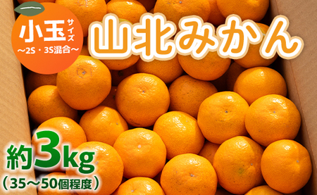 山北みかん 小玉サイズ(2S,3Sサイズ) 3kg 約35〜50個入り 甘い - 果物 フルーツ 柑橘類 温州みかん ミカン 蜜柑 甘い おいしい 美味しい 山北みらい 高知県 香南市 yk-0028