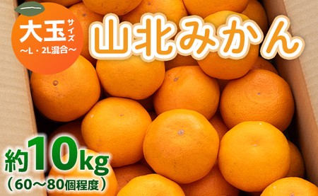 山北みかん 大玉サイズ(L,2Lサイズ) 10kg 約60〜80個入り 甘い - 果物 フルーツ 柑橘類 温州みかん ミカン 蜜柑 甘い おいしい 美味しい 山北みらい 高知県 香南市 yk-0029