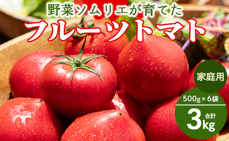 野菜ソムリエが育てた 家庭用 フルーツトマト 合計3kg(500g×6袋) 甘い 高知 うしの恵 小分け - 野菜 とまと 産地直送 料理 アレンジ サラダ 完熟 甘い あまい フレッシュ さっぱり 酸味 うしの恵 小分け おいしい 国産 高知県 香南市 mj-0015