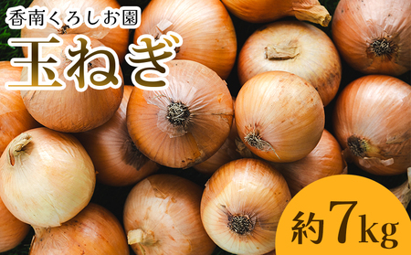 玉ねぎ 7kg 家庭用 野菜 高知 大小混合 - 香南市産 国産 たまねぎ タマネギ 玉葱 野菜 オニオンスープ ハンバーグ 常備野菜 保存野菜 香南くろしお園 高知県 香南市 ke-0037
