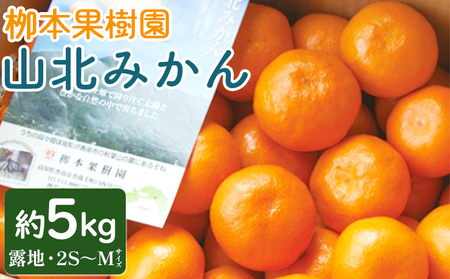 栁本果樹園の山北みかん 5kg(露地・2S〜M) - 果物 フルーツ 柑橘類 温州みかん ミカン 蜜柑 甘い おいしい のし 贈り物 期間限定 季節限定 数量限定 高知県 香南市 yg-0011