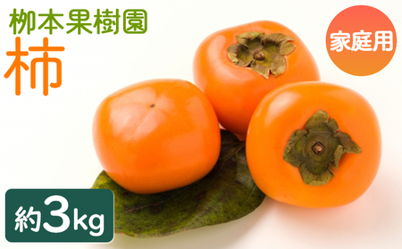 [期間限定]柿 訳あり 3kg[柿 柿 柿 柿 柿 柿] yg-0016