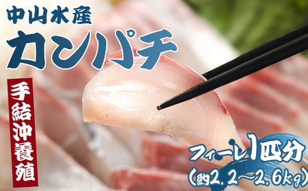 カンパチ フィーレ約2.2kg〜2.6Kg [先行申込] 手結沖養殖 -かんぱち かんぱち かんぱちかんぱち ny-0008