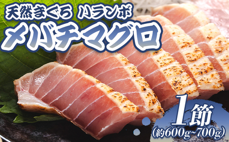 天然マグロ メバチマグロ ハランボ(腹身) たたき 1節 たたきのタレ付き - 鮪 まぐろ 赤身 寿司 刺身 丼 おつまみ 海の幸 マグロ oo-0004