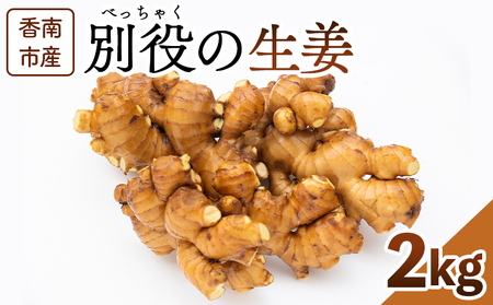 生姜 2kg[生姜 生姜 生姜 生姜 生姜] bc-0014