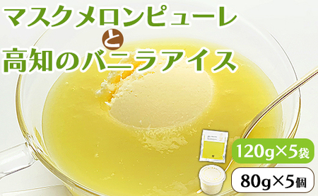 ピューレ メロンピューレ バニラアイスクリーム 5個セット テレビ「めざましどようび キクエがキクヨ!」で紹介 JALファーストクラス機内食に採用 - 果物 くだもの めろん 果汁100% 丸搾り ストレート アイスクリーム 篤農 tn-0021