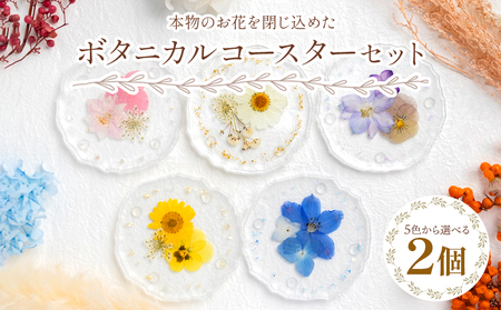 本物のお花を閉じ込めた ボタニカル コースター 2個セット - 雑貨 花 押し花 おしゃれ 可愛い 記念日 誕生日 母の日 プレゼント 贈り物 ギフト LIME 高知県 香南市 lm-0005