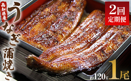 [2回定期便]うなぎ屋きた本 うなぎ蒲焼き120g 1尾(無頭) [ うなぎ 定期便 国産 うなぎ 定期便 かばやき うなぎ 定期便 ] Wun-0019