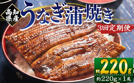 [3回定期便]高知県産うなぎ蒲焼き 約220g×1尾 養殖 魚介 国産 海鮮 魚 かばやき 鰻 ウナギ 惣菜 おかず お手軽 加工品 加工食品 冷凍 Wfb-0058