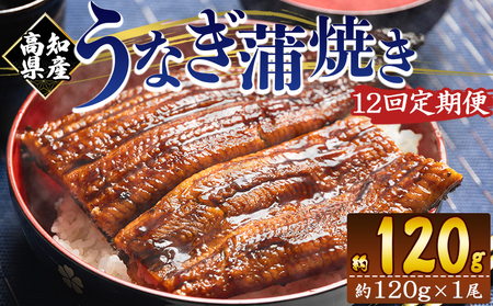 Y Ȃ  100g`120g P 12 Ă mY {B  Y CN  ΂₫ V EiM y  y Hi HHi Ⓚ Wfb-0036