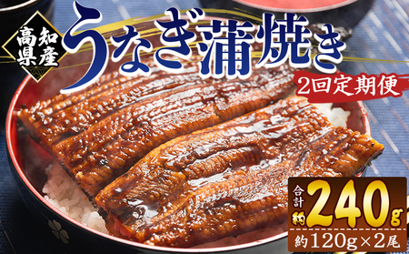 Y Ȃ  100g`120g 2 2 Ă mY {B  Y CN  ΂₫ V EiM y  y Hi HHi Ⓚ Wfb-0037