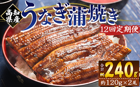 Y Ȃ  100g`120g 2 12 Ă mY {B  Y CN  ΂₫ V EiM y  y Hi HHi Ⓚ Wfb-0040