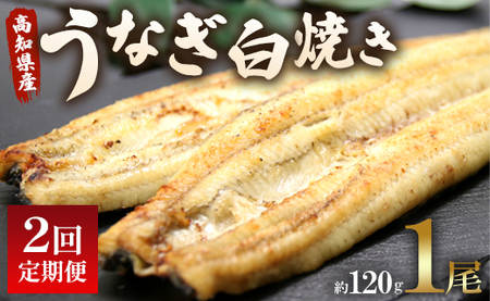 [2回定期便] 国産 うなぎ 白焼き 120g 1尾(無頭) [ うなぎ 白焼き 国産 うなぎ 白焼き 定期便 うなぎ 白焼き 厳選 うなぎ 白焼き ] Wun-0031