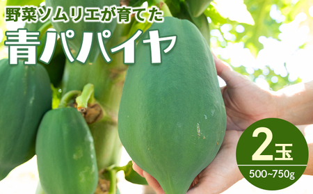 パパイヤ 2玉 青パパイヤ 野菜ソムリエが育てた mj-0017