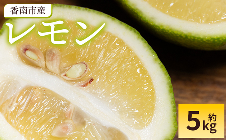 ������ 5kg - ����s�Y ���Y �E�G ����� �ʕ� �������� �t���[�c ��� ���k �ʏ` ���� �A�����W �͂��݂������p�E���h�P�[�L ���m�� ����s �퉷 �① sj-0012