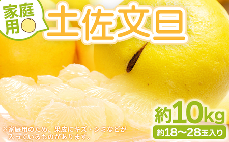 [4月までにお届け]土佐文旦 家庭用 10kg 約18〜28玉入り[大玉文旦 土佐文旦 文旦 香南市 露地文旦 文旦] yk-0039