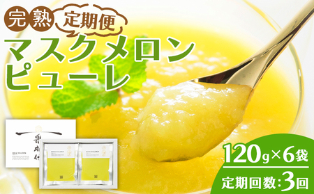 【3回定期便】完熟マスクメロンピューレ 120g×6袋 【 ピューレ  ピューレ  ピューレ  ピューレ  ピューレ 】 Wtn-0031