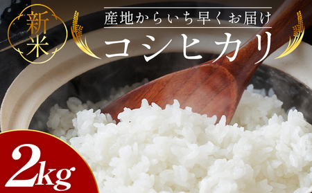 新米コシヒカリ 2kg 先行受付[新米 新米 新米 新米 新米 新米] at-0031