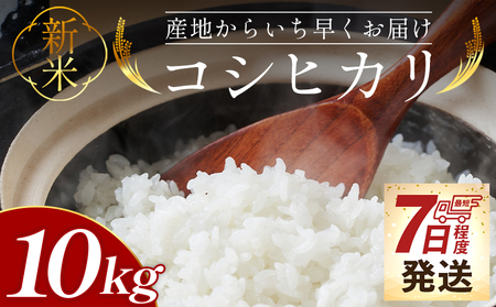 y7xŔzRVqJ 10kg ߘa7NYV V RVqJ at-0047