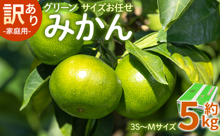 訳あり(家庭用) サイズお任せ グリーンみかん 5kg 3S〜Mサイズ - ミカン 蜜柑 柑橘 果実 果物 フルーツ ご自宅用 ジューシー 果汁 フレッシュ 旬 季節 かなや農園 合同会社Benifare 国産 特産品 高知県 香南市 常温 be-0097