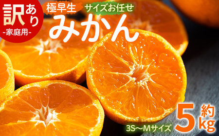訳あり(家庭用) サイズお任せ 極早生みかん 5kg 3S〜Mサイズ - 訳アリ フルーツ 果物 くだもの 果実 甘い あまい 酸味 蜜柑 ミカン 柑橘 ご自宅用 旬 季節 かなや農園 合同会社Benifare 国産 特産品 高知県 香南市 常温 be-0098